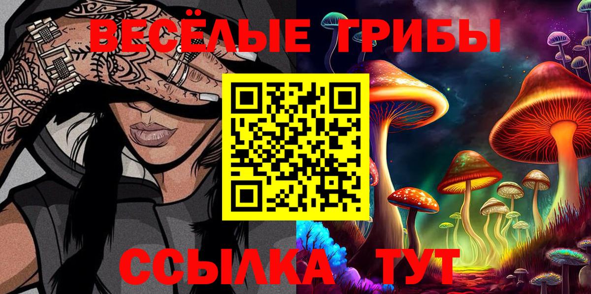 Михайловка  Псилоцибиновые грибы прущие грибы  Вход с VPN  Галлюциногенные грибы Psilocybine cubensis 
