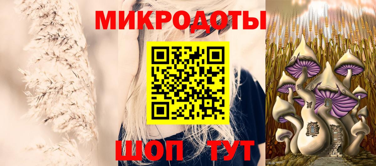 Псилоцибиновые грибы прущие грибы Михайловка